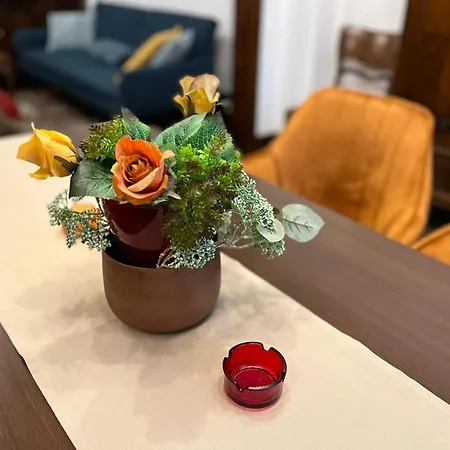 Appartement Centre Stylish With Private Backyard *