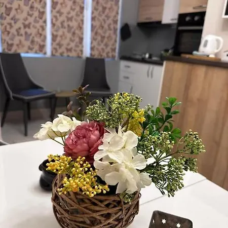 Daire Centre Stylish With Private Backyard Sofya